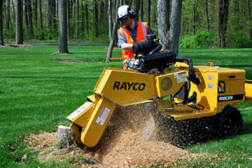 Stump Grinder